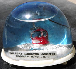 wild_cat_mt_gondola.jpg